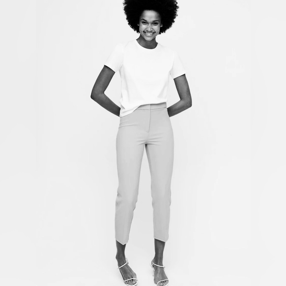 Aritzia Babaton Ares Pant